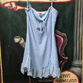 Bear Dance Blue Gingham dress