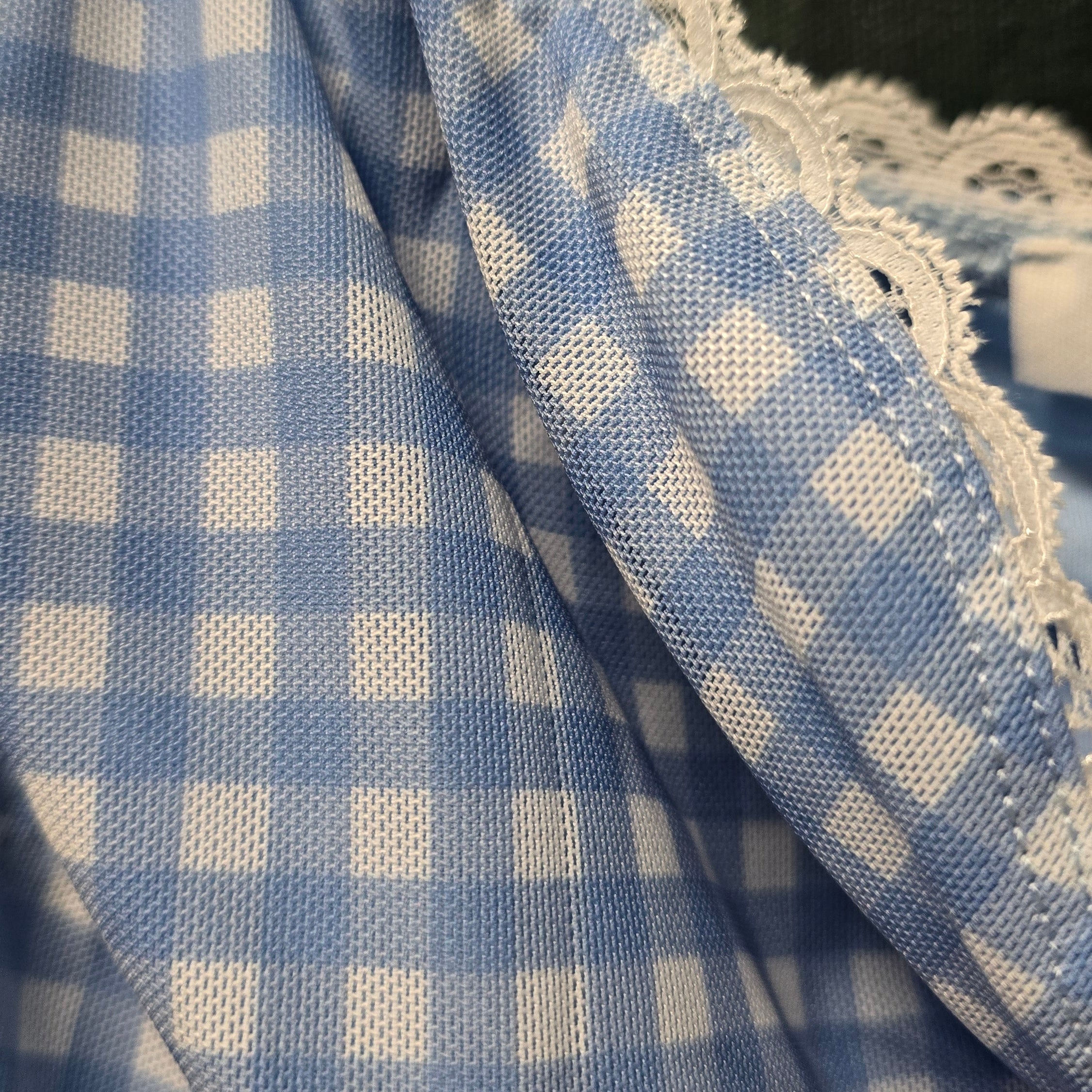 Bear Dance Blue Gingham dress