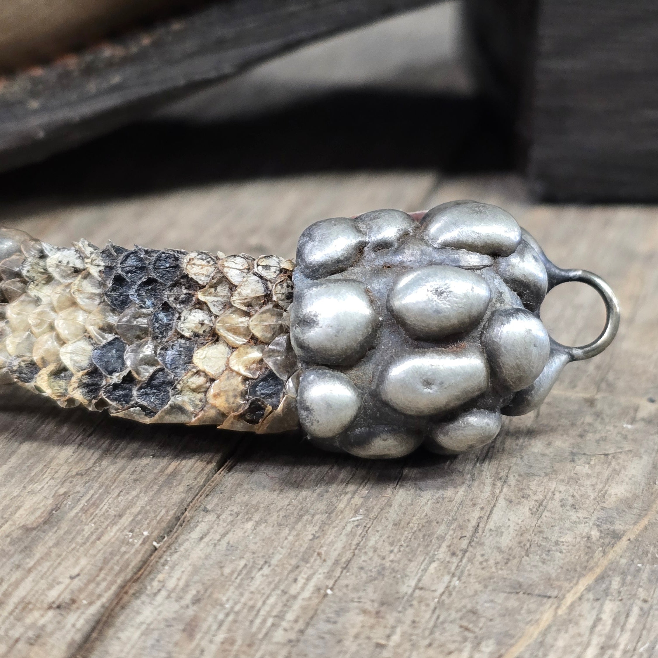 Genuine Rattlesnake  Tail  Pendant