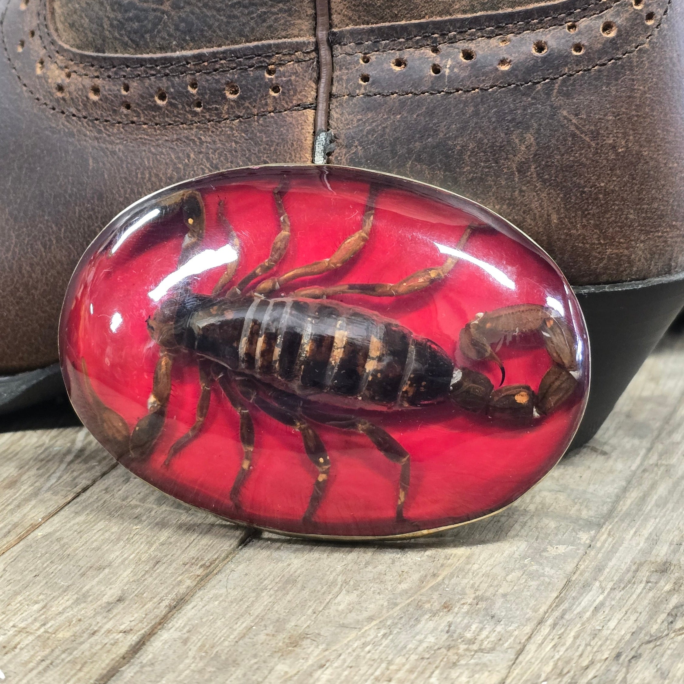 Armor-Tail Scorpion Buckle