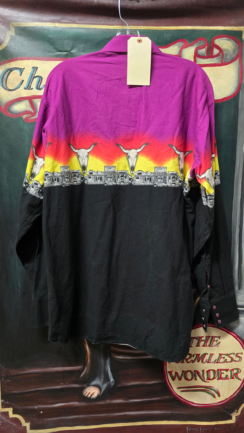 Vintage Brooks & Dunn Collection by Panhandle Slim Western Shirt