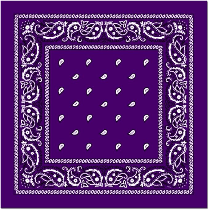 Paisley Cowboy Bandanna