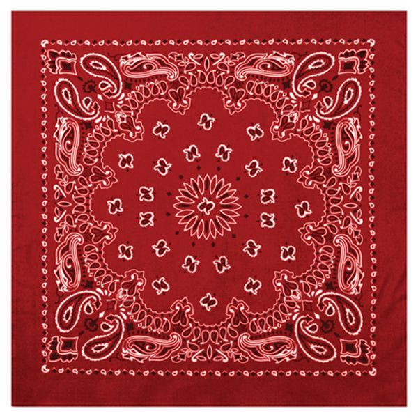 Paisley Cowboy Bandanna