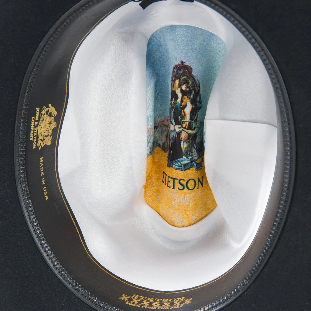 Stetson Skyline 6X Cowboy Hat