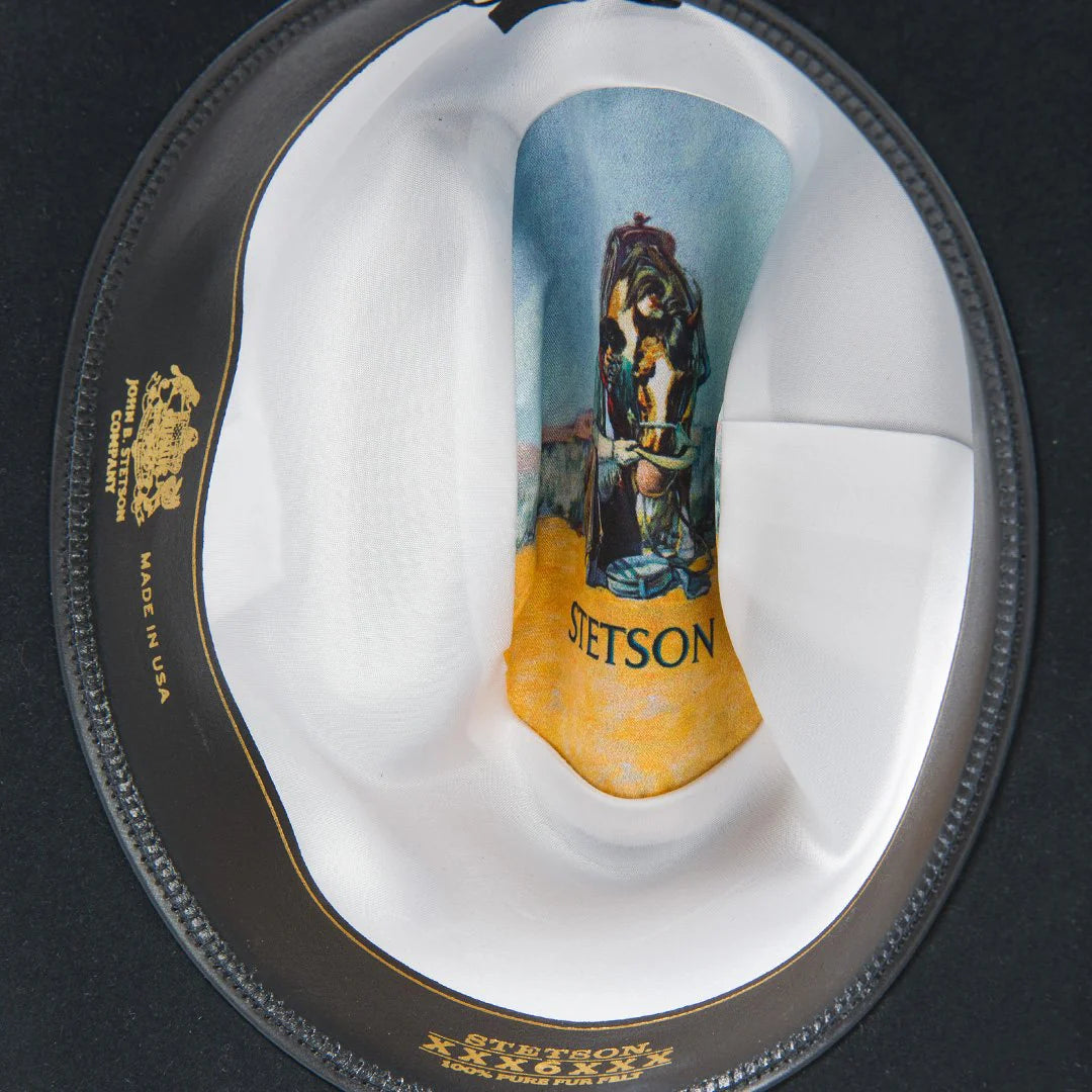 Stetson Skyline 6X Cowboy Hat